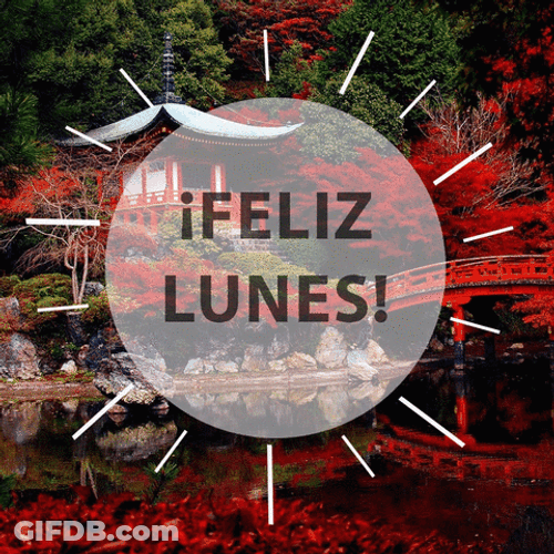 Feliz Lunes Li Group Greeting GIF