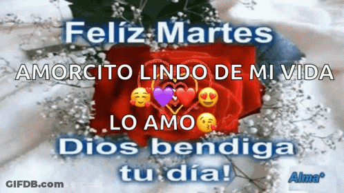 Feliz Martes Amorcito GIF