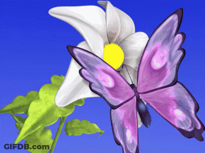 Feliz Martes Anime Butterfly GIF