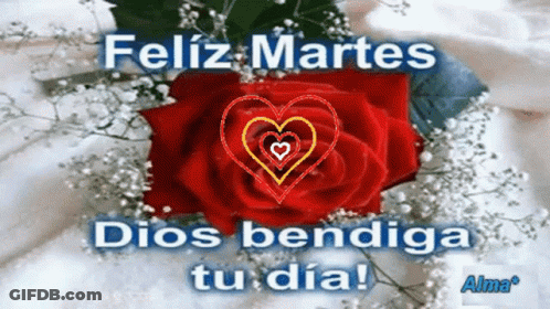 Feliz Martes Dios Bendiga Tu Dia Red Rose GIF