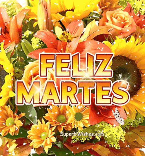 Feliz Martes GIF