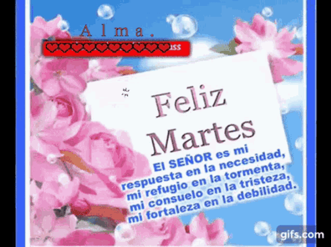 Feliz Martes GIF