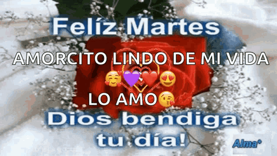 Feliz Martes GIF