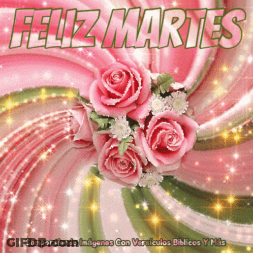 Feliz Martes Greeting Card Pink Roses Pink Background GIF