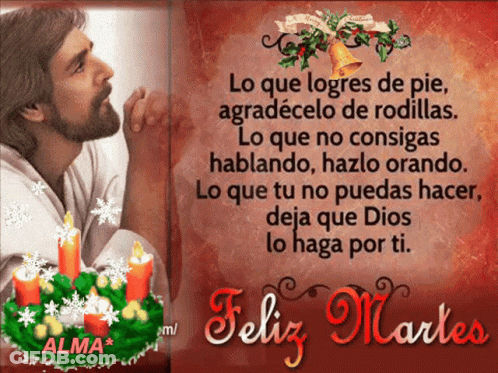 Feliz Martes Lo Que Logres De Pie Agradecelo De Rodillas GIF