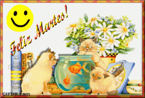 Feliz Martes Smiley Greeting Card GIF