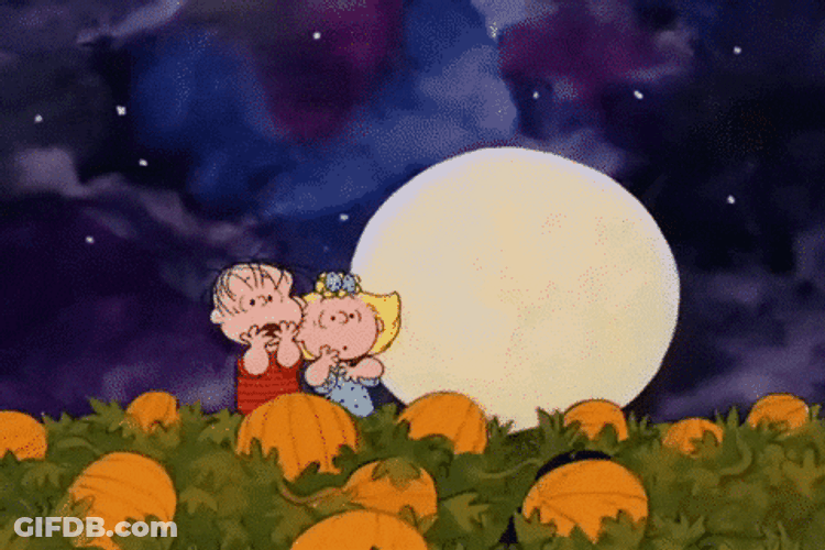 Feliz Martes Snoopy GIF