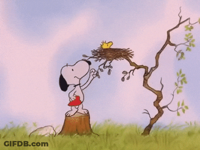 Feliz Martes Snoopy GIF