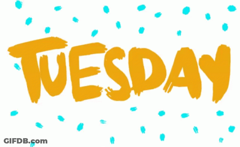 Feliz Martes Tuesday Text GIF