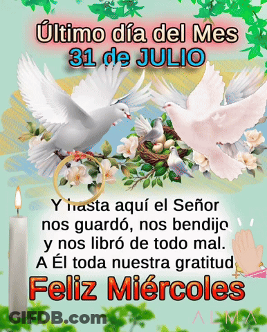 Feliz Miercoles Doves And Flowers GIF