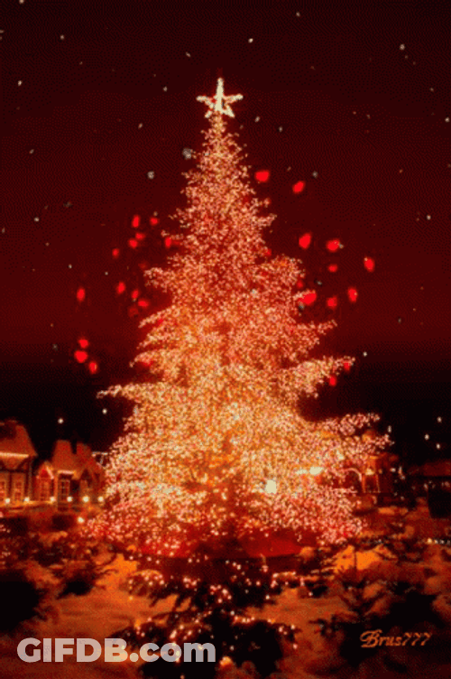 Feliz Navidad 2024 GIF