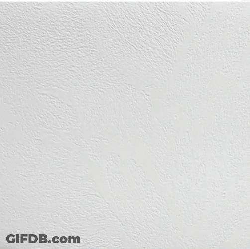 Feliz Navidad Amiga GIF