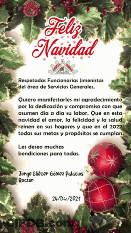Feliz Navidad Amiga GIF