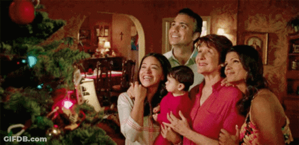 Feliz Navidad Familia GIF