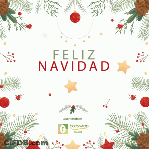 Feliz Navidad Flashing Stars GIF
