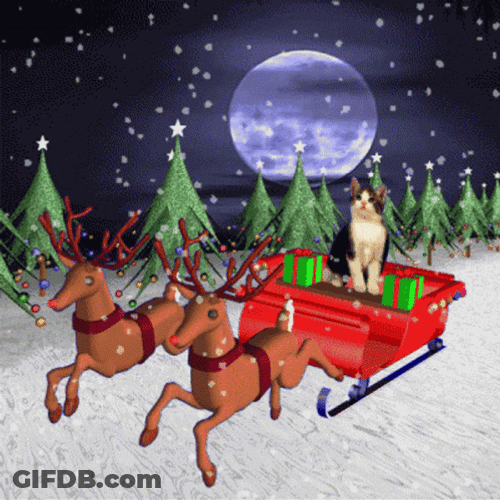 Feliz Navidad Gatos GIF