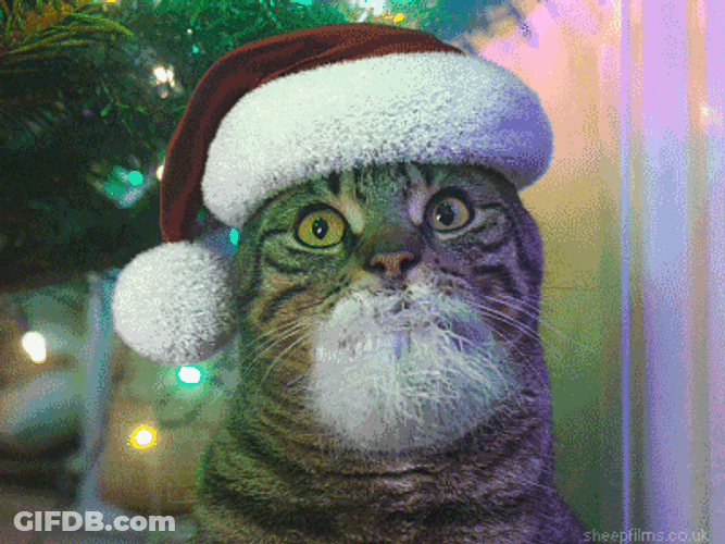 Feliz Navidad Gatos GIF