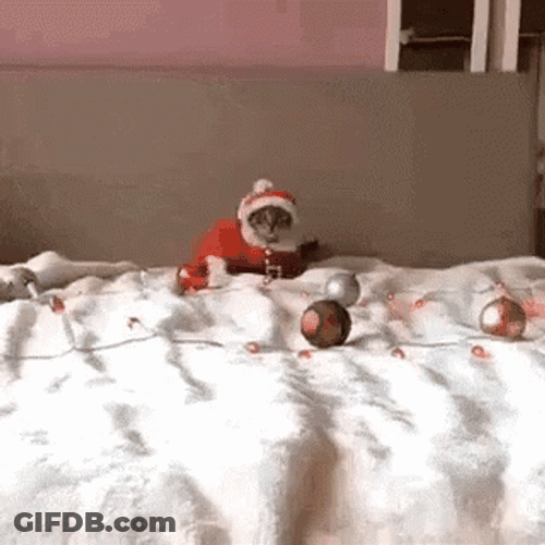 Feliz Navidad Gatos GIF