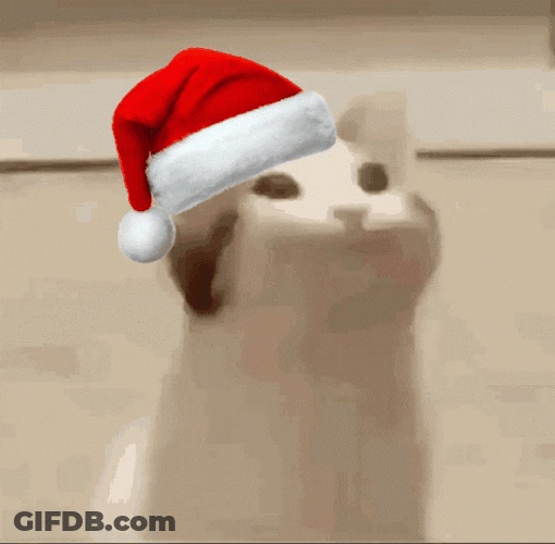 Feliz Navidad Gatos GIF