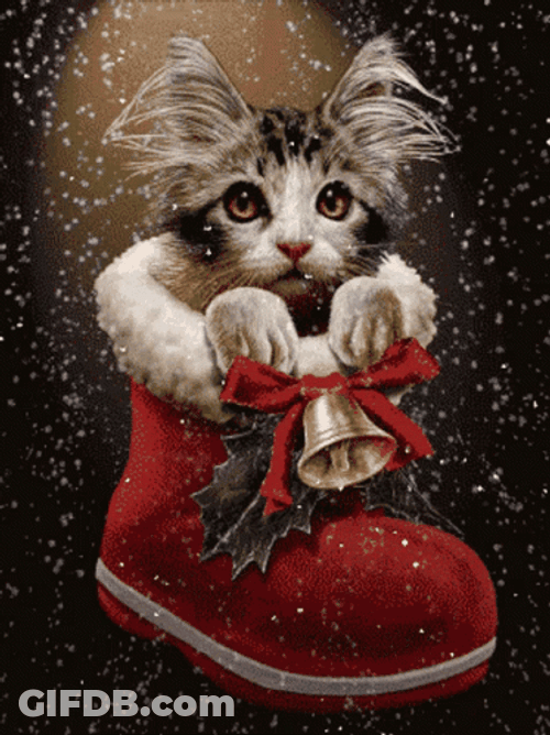 Feliz Navidad Gatos GIF