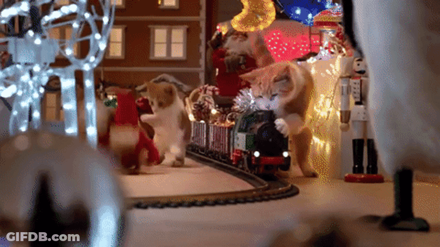 Feliz Navidad Gatos GIF