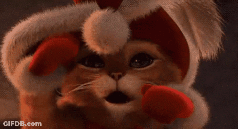 Feliz Navidad Gatos GIF