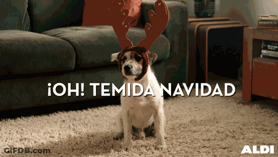 Feliz Navidad Grupo GIF