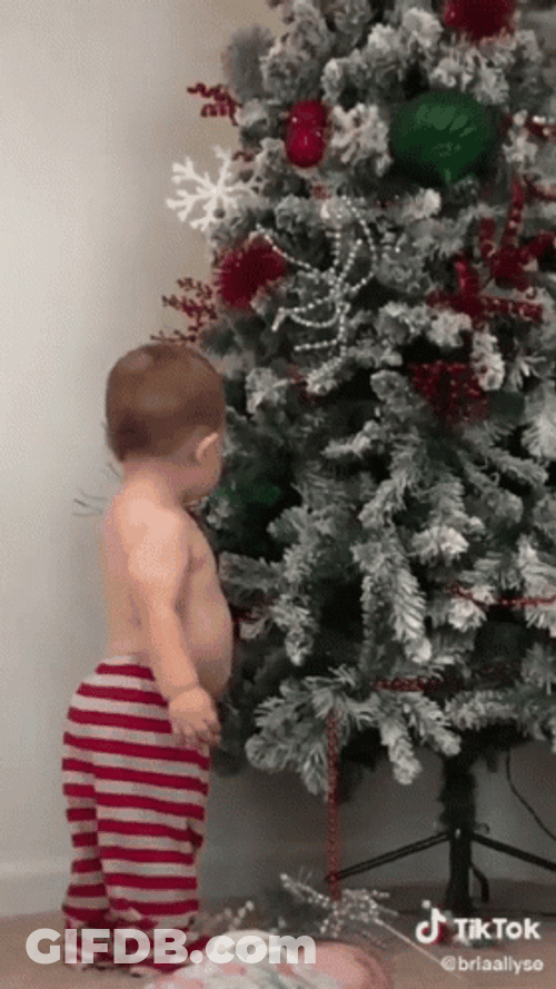 Feliz Navidad Hermano GIF