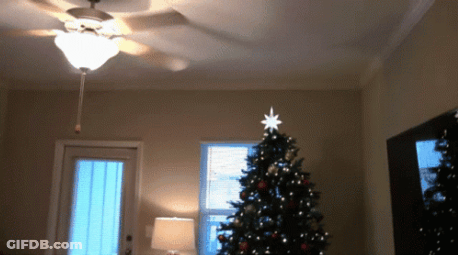 Feliz Navidad Hermano GIF