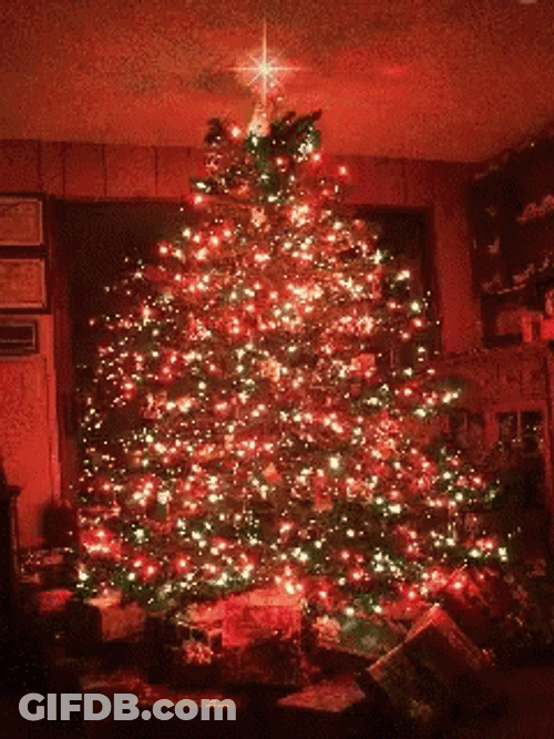 Feliz Navidad Hermano GIF