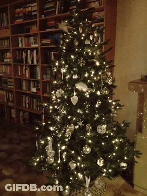 Feliz Navidad Mi Amor GIF