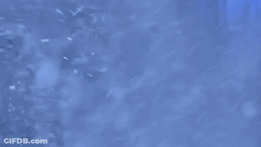 Feliz Navidad Star Wars GIF