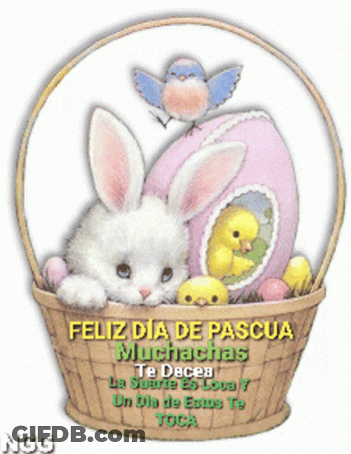Feliz Pascua Cute Bunny Chicks In Basket GIF
