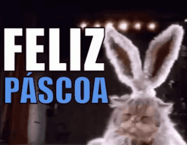 Feliz Pascua Cute Cat Wearing Bunny Costume GIF