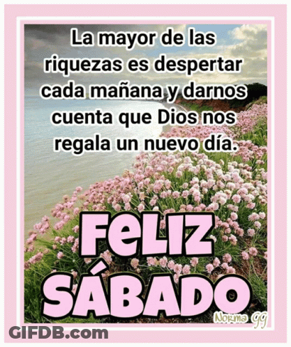 Feliz Sabado Poster In Pink Flower Field GIF