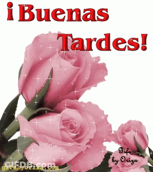 Feliz Tarde GIF