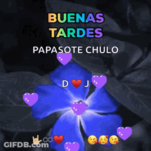 Feliz Tarde GIF