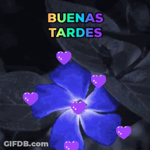 Feliz Tarde GIF