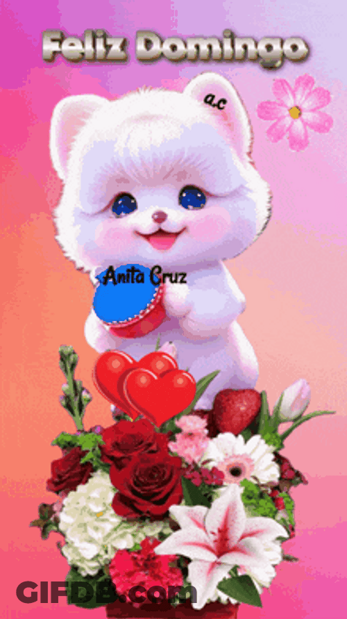 Feliz Tarde De Domingo GIF