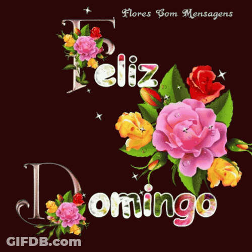 Feliz Tarde De Domingo GIF