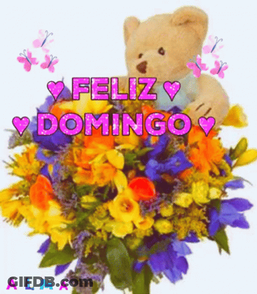 Feliz Tarde De Domingo GIF