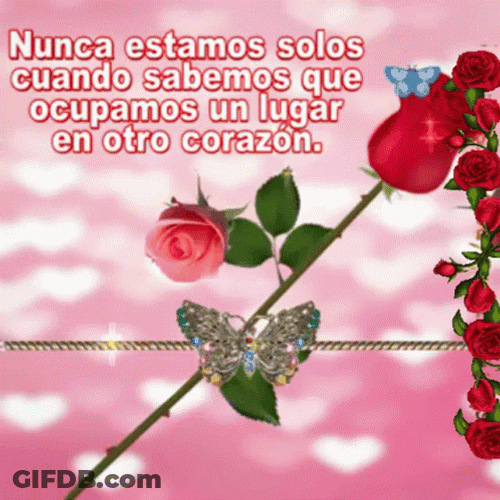 Feliz Tarde De Domingo GIF