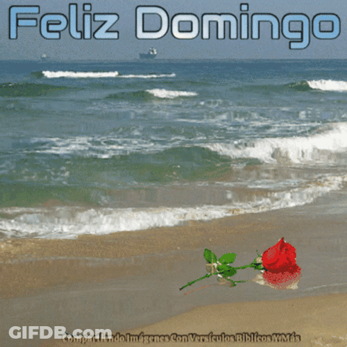 Feliz Tarde De Domingo GIF