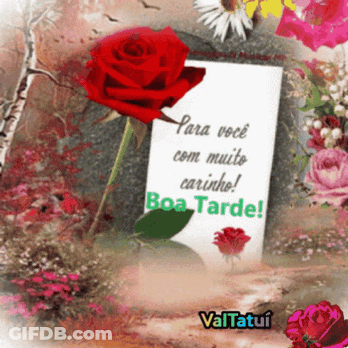 Feliz Tarde De Domingo GIF