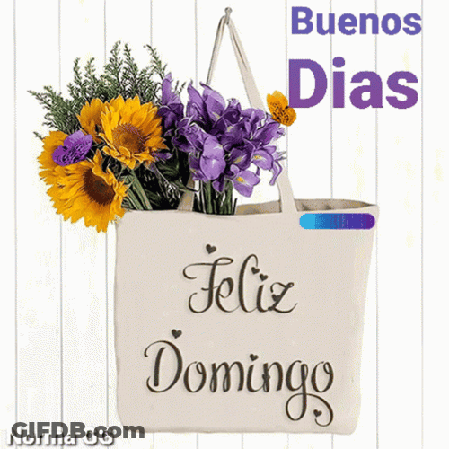 Feliz Tarde De Domingo GIF