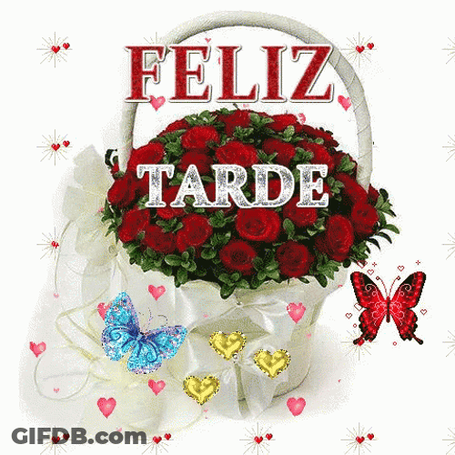 Feliz Tarde De Domingo GIF