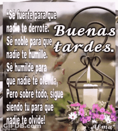 Feliz Tarde De Domingo GIF