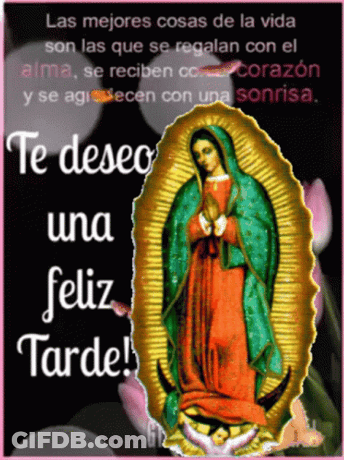 Feliz Tarde De Domingo GIF