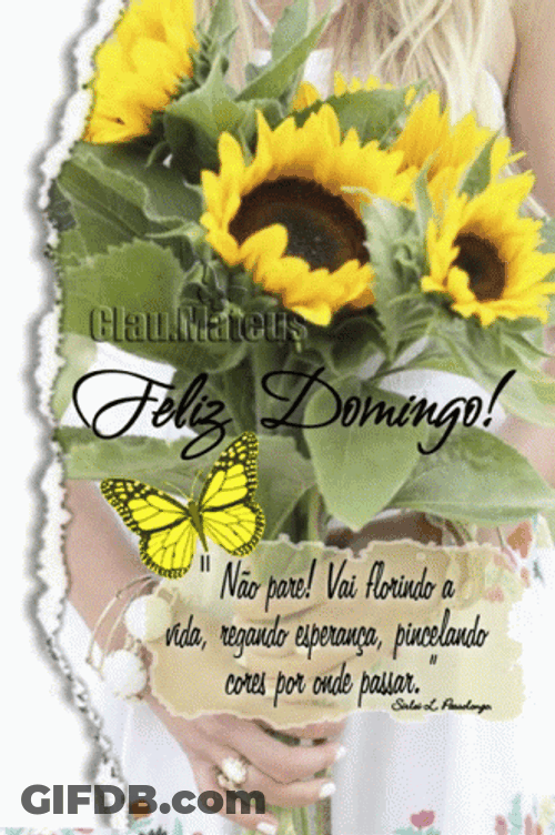 Feliz Tarde De Domingo GIF