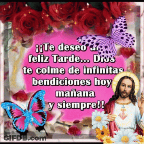 Feliz Tarde De Domingo GIF